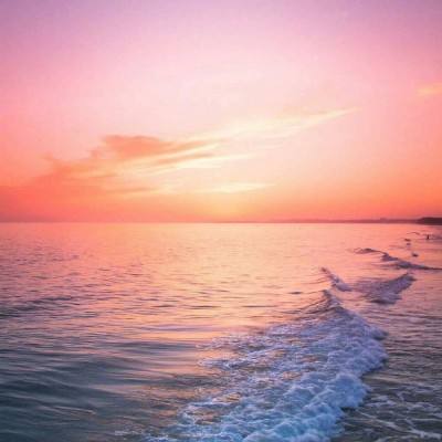 BOB体育综合入口app下载