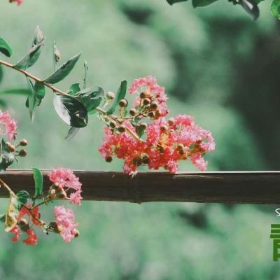 kaiyun平台手机网页版