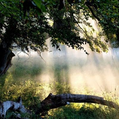 AG百家家乐appapp下载