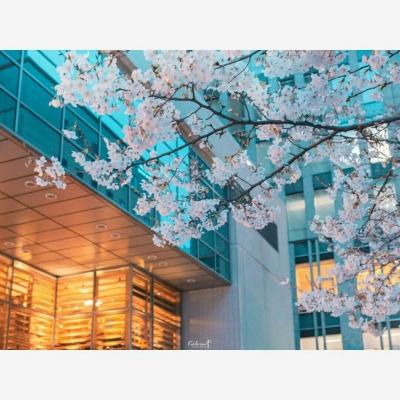 博鱼·中国体育官网