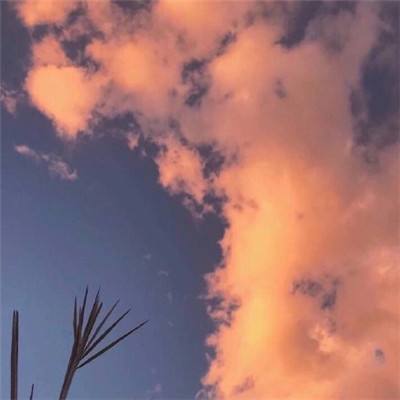 Bsport体育最新版